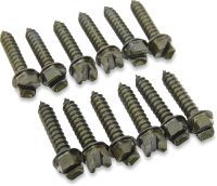 GOLD SCREWS Screws Pro Gold 1" 250