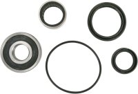 Pivot Works Radlager Kit hinten