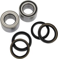 Pivot Works Radlager Kit hinten