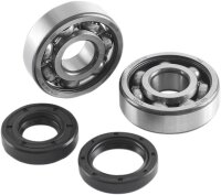 JASIL Crank Bearing Seal Kit