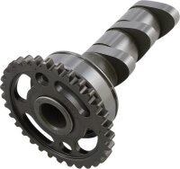 CAM-YZ-WR250F-IN-STG-2