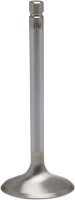 VALVE-IN-STD-KZ900-1000