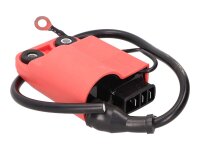 CDI-UNIT-W-IGNITION-COIL