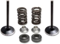 VALVE SPRING KIT YAMAHA