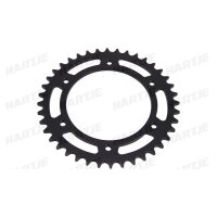 RK Kettenrad 520 40 Stahl Schwarz