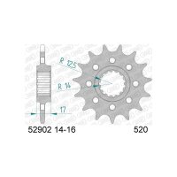 Afam Ritzel Afam 520 14Z Racing