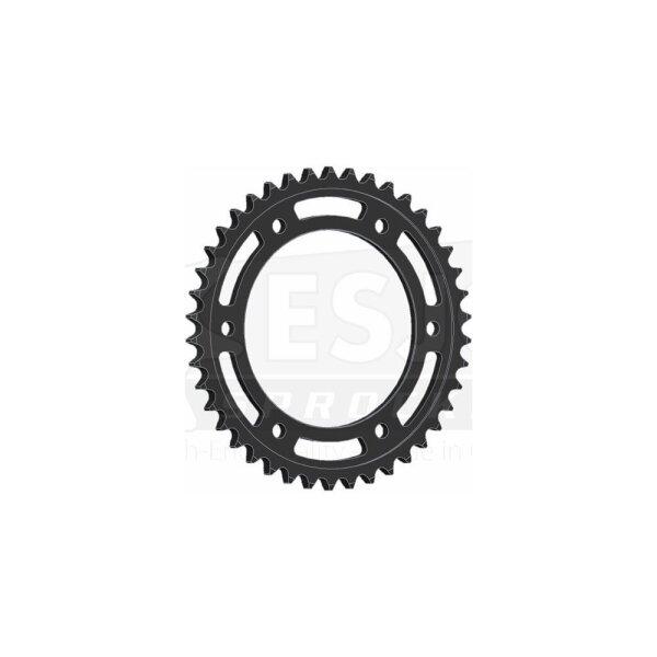Esjot Kettenrad 530 42Z Stahl Schwarz