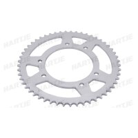 RK Kettenrad 420 53Z Stahl Silber