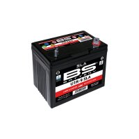 BS-Battery Batterie U1R-9 Bs Sla Garden