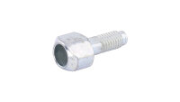 Campagnolo Campa Einstellschraube