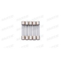 Dresselhaus Glassicherung 6X32Mm 30A F. Amerikanische Fahrz.