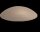 Hansi paraurti porta Bumms beige