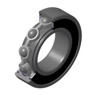 NTN Bearing 6004-2RS 20x42x12mm