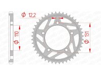 Pignone posteriore standard AFAM in acciaio 164800 - 525