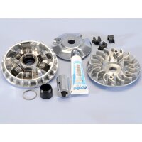 Variador POLINI Hi-Speed - Piaggio Vespa 125 Primav 4T 3V