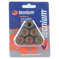 TECNIUM set di rulli variatore 15x12mm 3.5gr - 6 pezzi