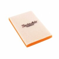 Twin Air Filtro Aria 156060P