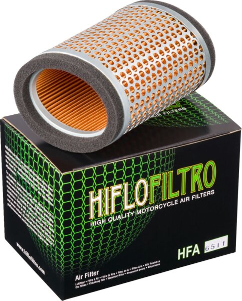 FILTER AIR TRIUMPH THUNDERBIRD