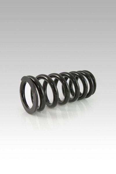 RR SHOCK SPRING LOW KIT -40MM