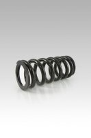 RR SHOCK SPRING LOW KIT -20MM