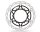 Moto-Master Disco Freno Anteriore Flame Float