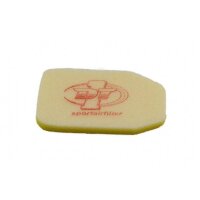 Dt-1 Racing Europe luftfilter