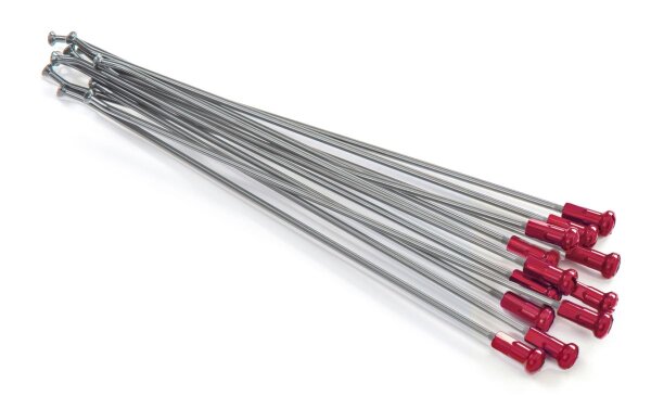 Kite Speichen 21FR SI /RE NIP 12PC