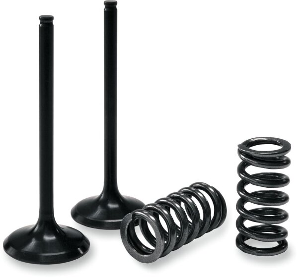 Valvola dingresso Prox/KIT SPRING 28.SIS6351-2