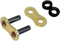 Rivet Link 520Rtg1 Acier